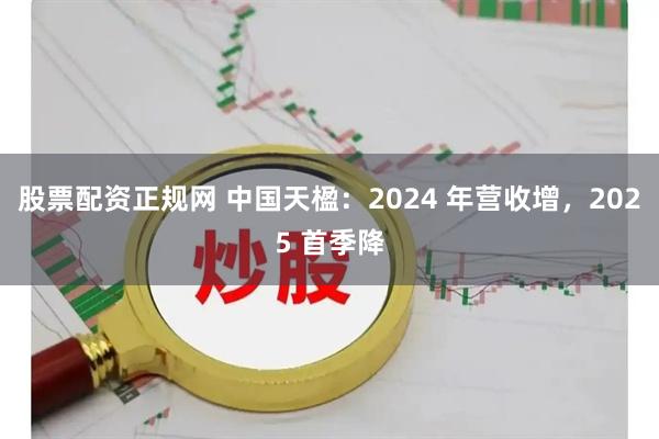 股票配资正规网 中国天楹：2024 年营收增，2025 首季降