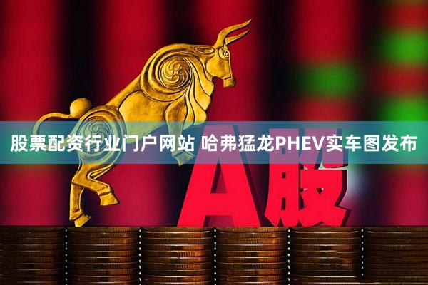 股票配资行业门户网站 哈弗猛龙PHEV实车图发布